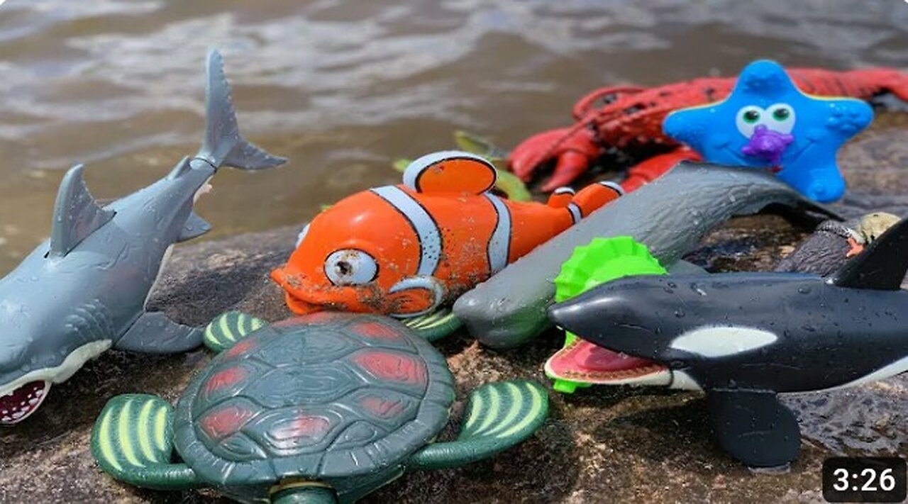 Sea Animal Toys This Summer at the Shore