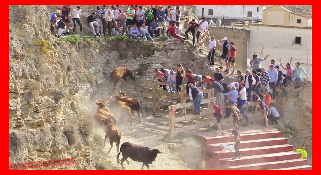 ARGUEDAS ( NAVARRA ) TARDE ENCIERRO DEL ESTRECHO ( LUNES 10 ABRIL 2023 ) GANAD.SAT.USTARROZ