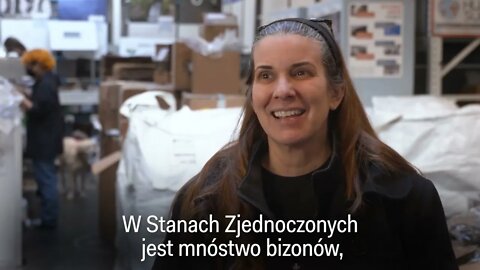 Włosy na misji oczyszczania wody - Kilogram włosów może wchłonąć 5 kg oleju