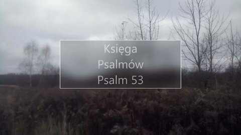 Księga Psalmów - Psalm 53