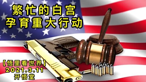 KWT1302繁忙的白宫孕育重大行动20210311-3【悟里看世界】