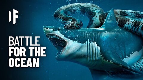 What If Megalodon Fought Titanobua?