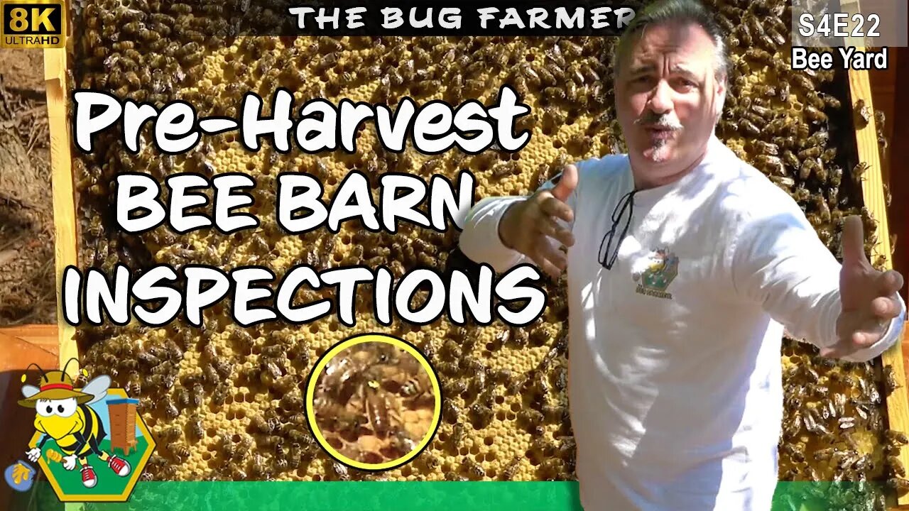 Pre-Harvest Bee Barn Inspection | Inspecting all bee barns before next weeks harvest #beekeeping #8K