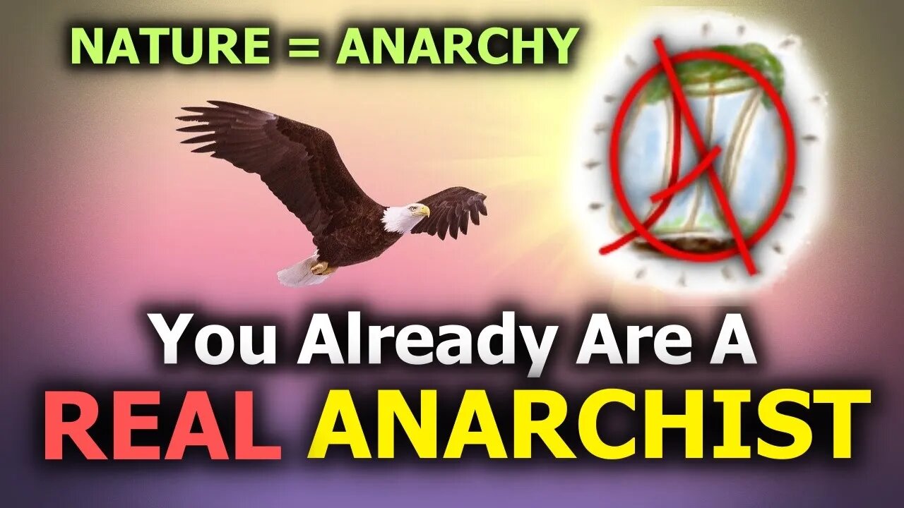 You Already Are A REAL Anarchist, But May Not Know It...