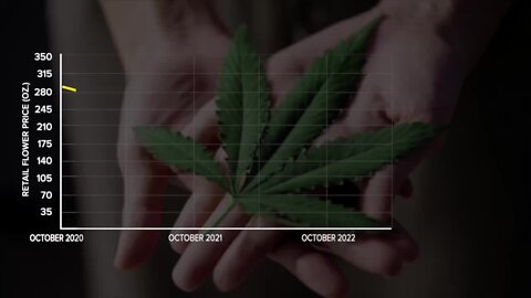 Marijuana prices plummeting