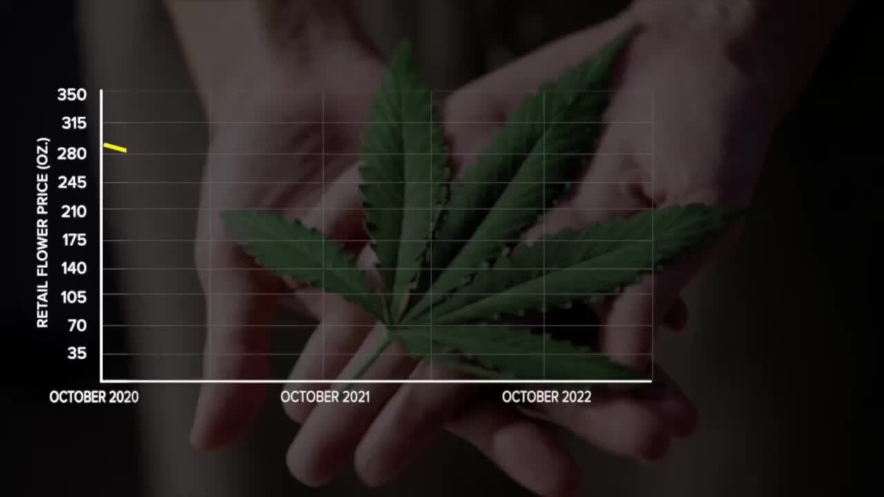 Marijuana prices plummeting