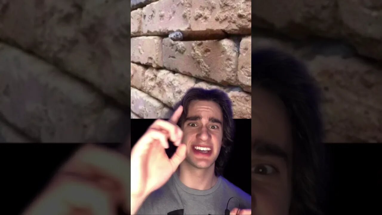 Can YOU SEE it??😳🤯