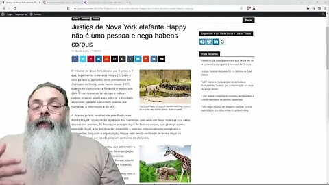 Tribunal decide que ELEFANTE não é GENTE, mas LUTO por ANIMAIS pode ser BOA IDEIA - Peter Turguniev