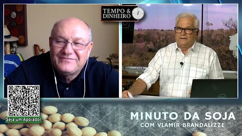 Milho buscando estabilidade