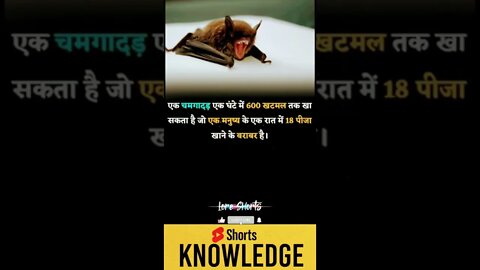 Motivational Quotes Intresting Facts lifestyle & research #shorts #ytshorts #knowledge #motivation