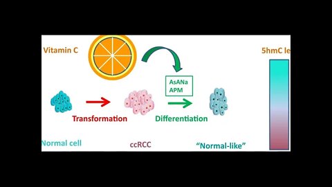 비타민c가 암을 죽인다, 야나기사 아츠오, 폴링박사, 노벨화학상, 감기약이여 안녕, 암사망률, 과학아카데미, 투여방법에 따라 큰 차이, 선택적으로 암세포를 죽인다, 캔자즈대학