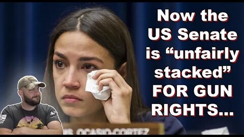 Now the US Senate is unfairly stacked FOR GUN RIGHTS... They're starting to "lose it"...