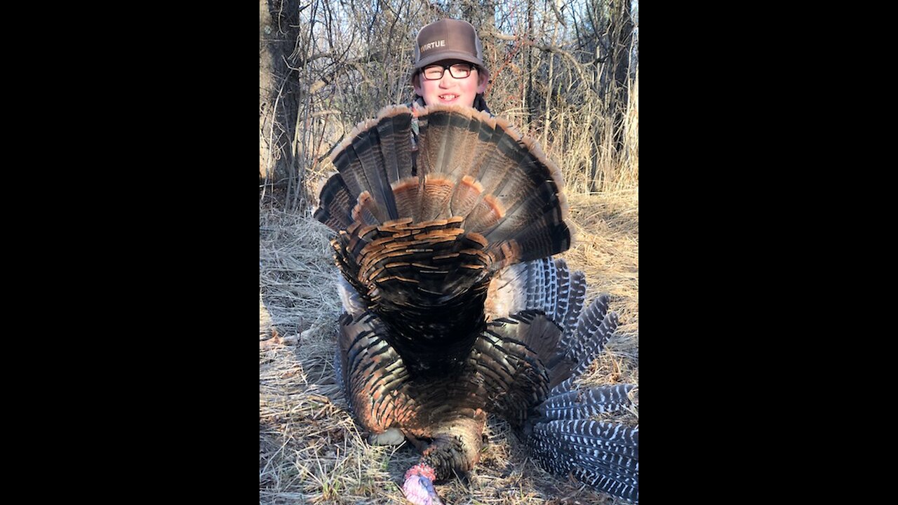 First Minnesota Gobbler!