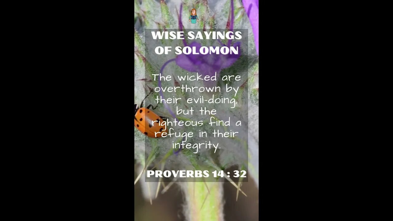 Proverbs 14:32 | NRSV Bible | Wise Sayings of Solomon