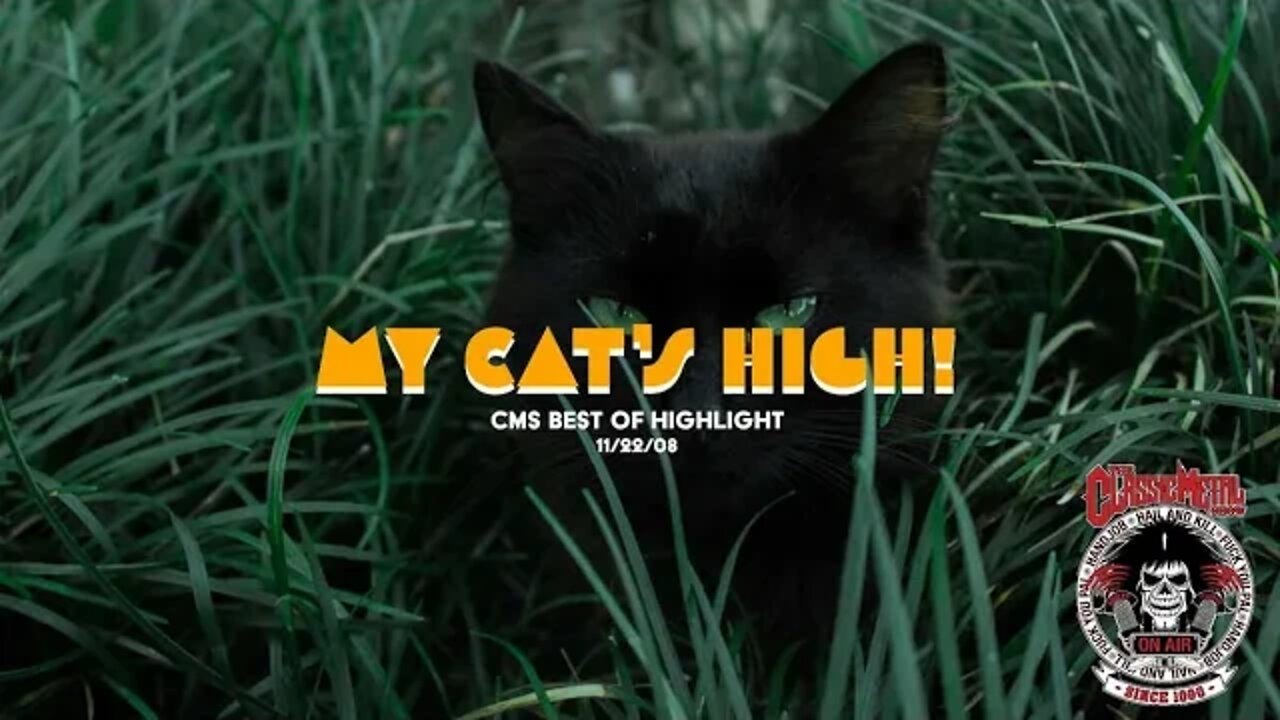 My Cat's High - 11-22-08