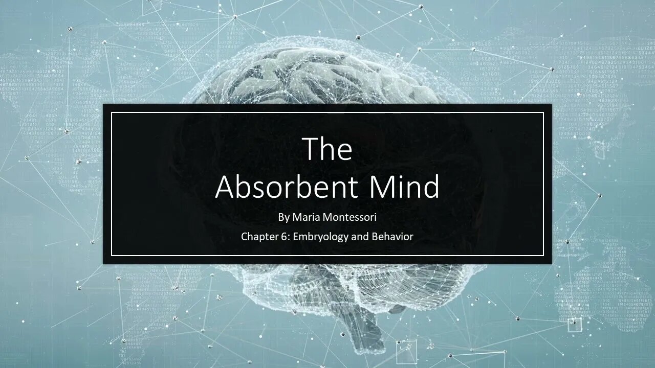 Understanding Montessori - Ch 6 of The Absorbent Mind: Embryology and Behavior