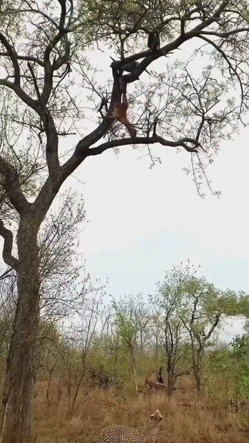 Funny Moment 😮😂