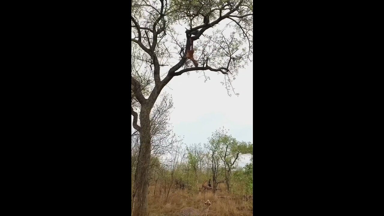 Funny Moment 😮😂