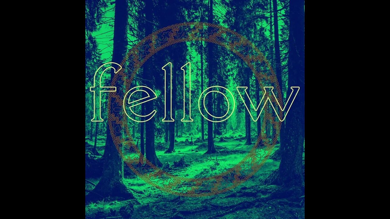 fellow | mide ep | janhusinec