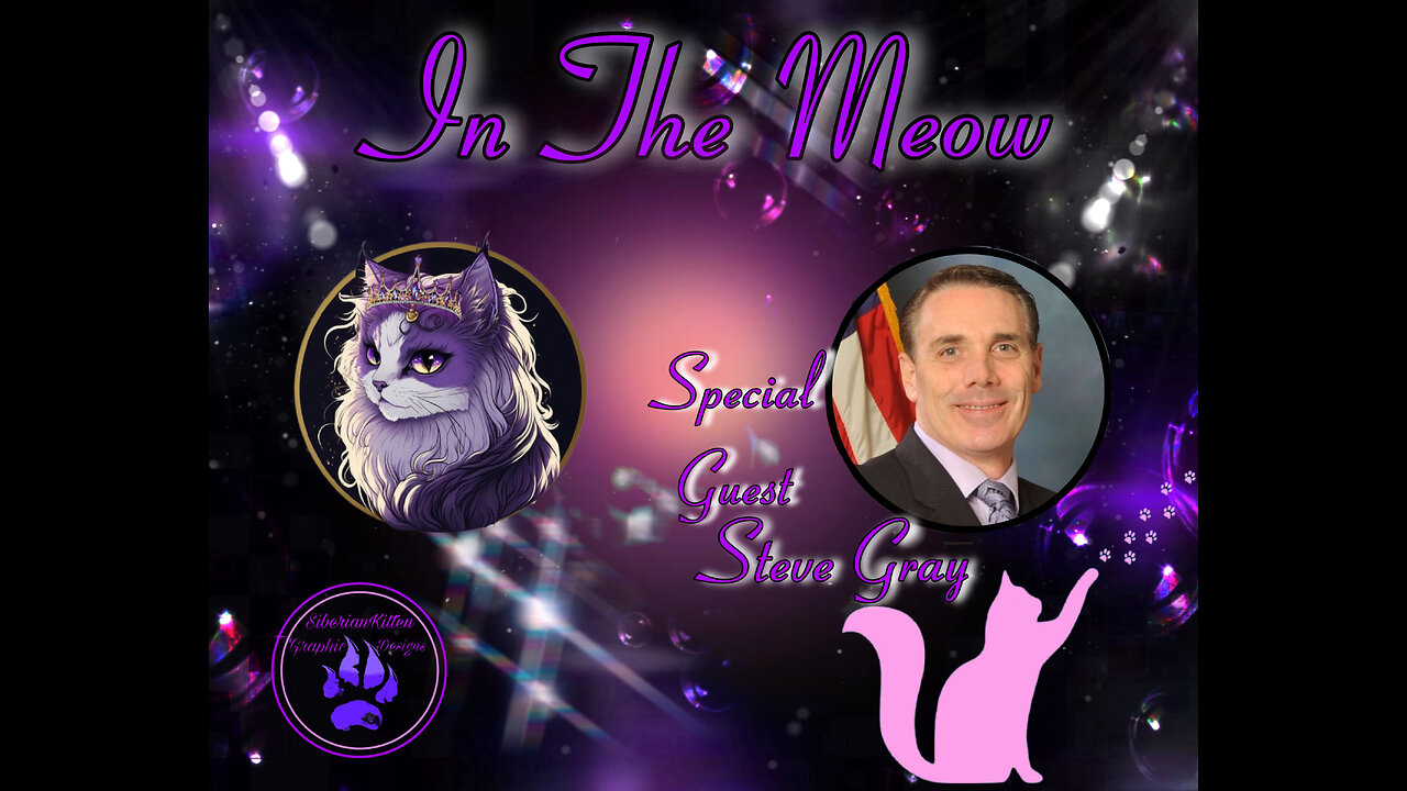 In The Meow | With Special Guest Steve Gray