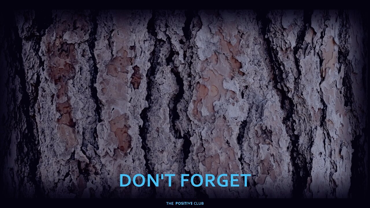 Don’t Forget