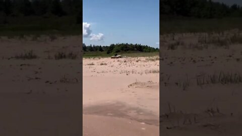 Some big crows watching the beach