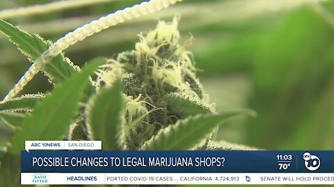 San Diego County Supervisors seek to level cannabis industry playing field