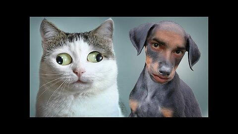 WORLD BEST FUNNIEST🤣 Dog vs men 🤣 funny video> Don't Try Laughing 🤣 clips