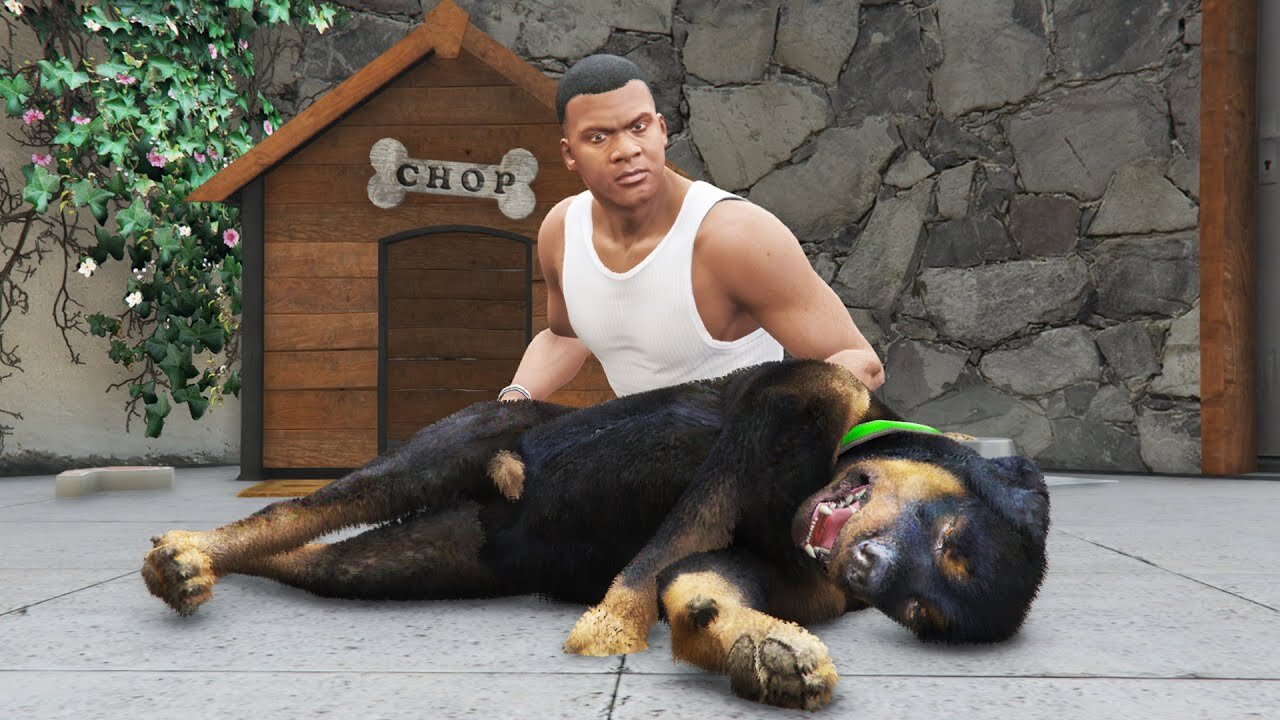 What Happens if Franklin KILLS CHOP in GTA 5 #gtav #gta5