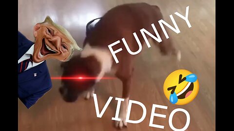 FUNNYEST PET VIDEOS FOREVER 🤣 | WATCH TILL END