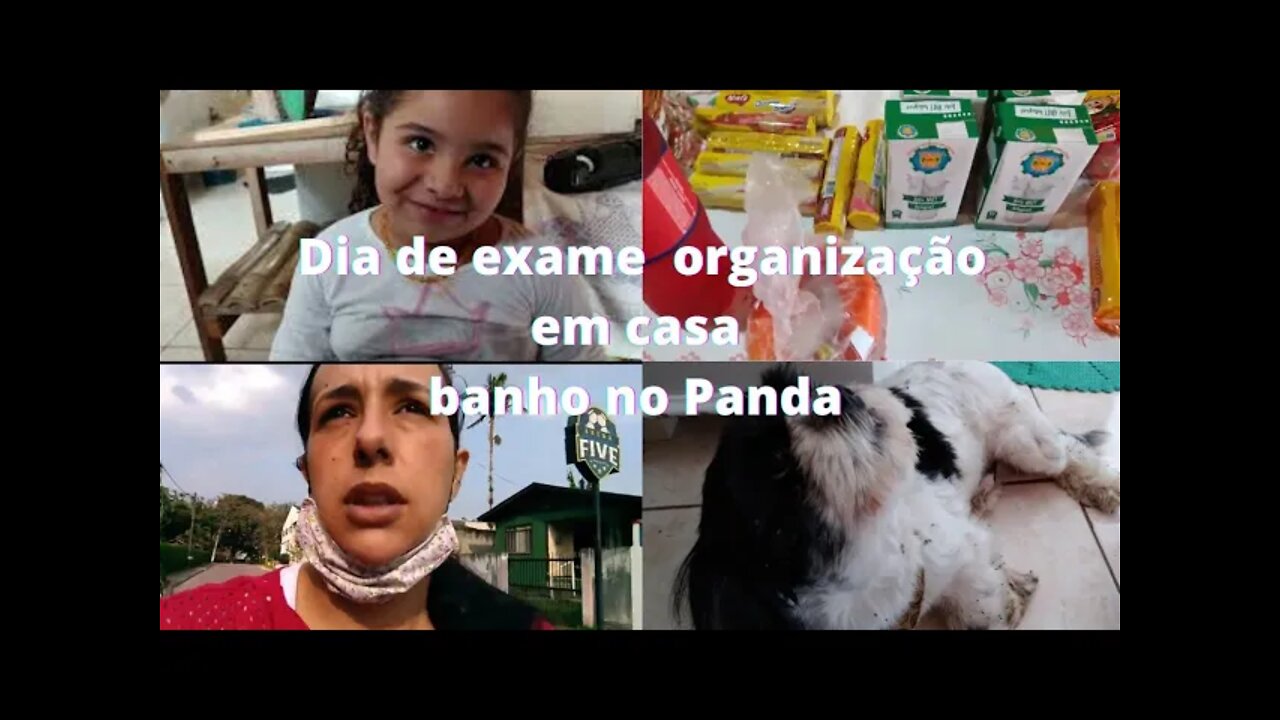 Tirei Sangue pra exame- Organização na casa- Banho no Cachorro