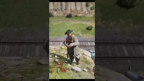 Red dead redemption 2 Ragdoll physics.