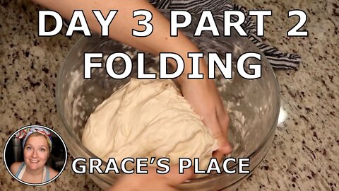 MAKING YOUR FIRST SOURDOUGH BREAD: Day 3: Part 2: Folding dough and Saving MOM