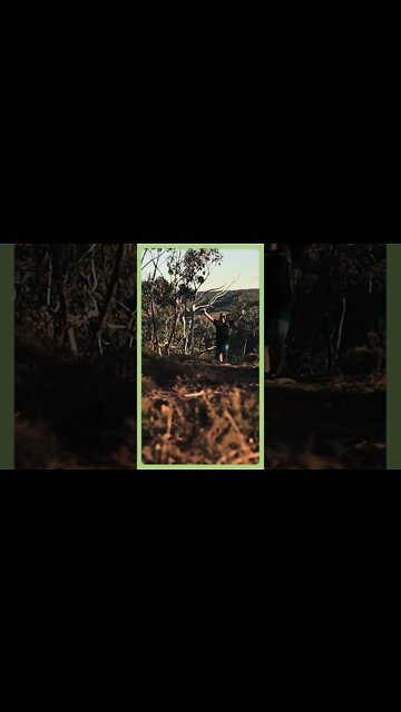 Back Up Boobook - Highlights E