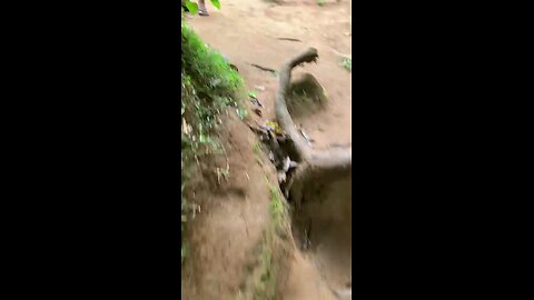 Natural Waterfall beauty dont miss