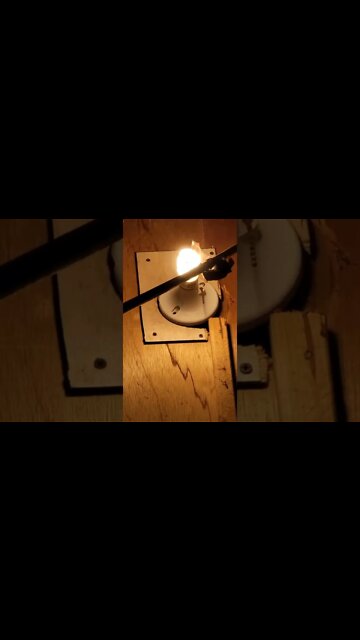 Bat gets stuck in a light bulb (saved off cam)