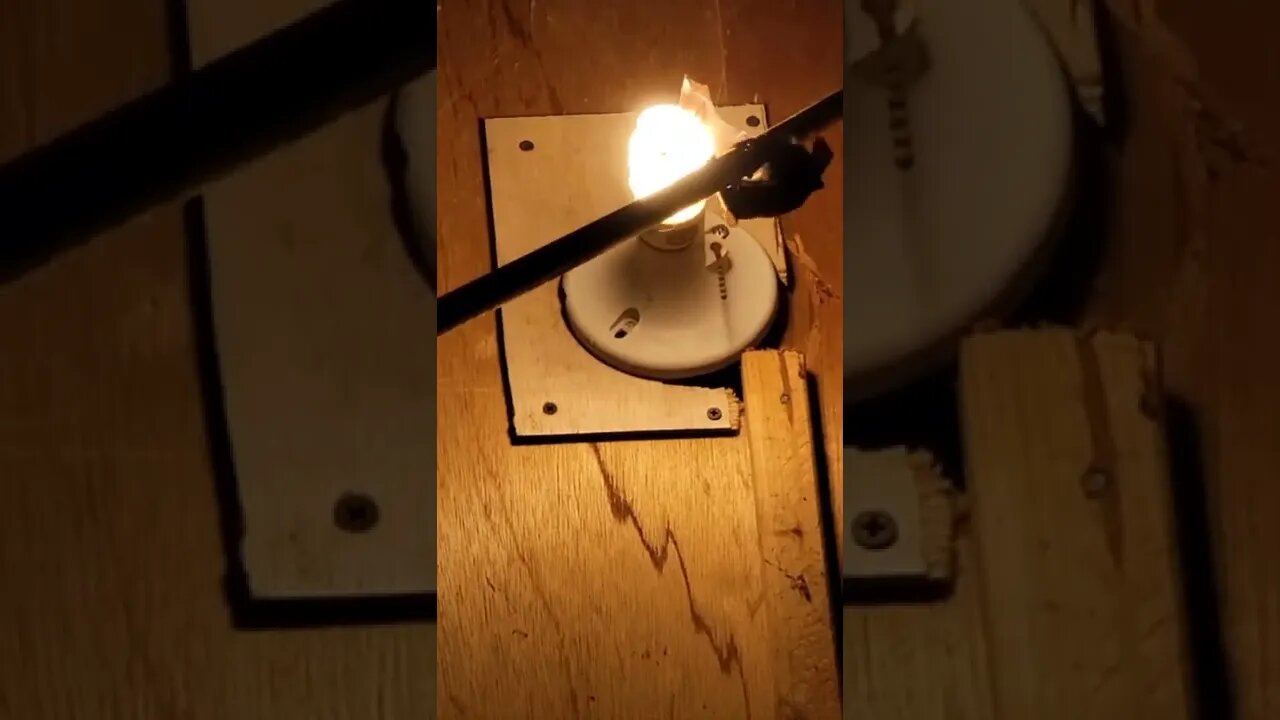 Bat gets stuck in a light bulb (saved off cam)