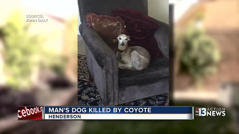 Henderson man warns neighbors of coyote attack