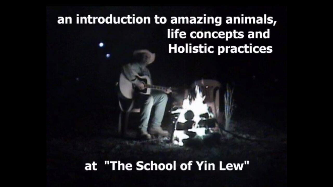 An introduction to The School Of Yin Lew