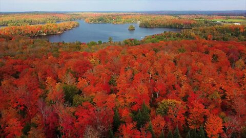 Seasons of the Forest: FPV with iFlight and DJI
