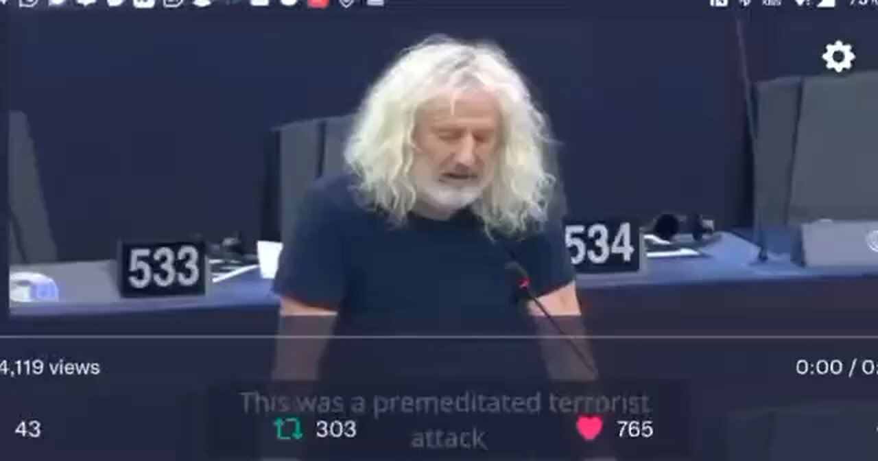 Mick Wallace , EU is a f@cking joke