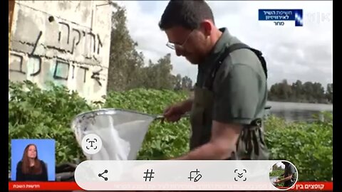 שלוליות החורף הטבע הפראי שמגיע ללב הערים בישראל ( הכתבה שמרמזת לכם זריקה שווה דום לב שימו לב בדקה ה-5 ) 09.03.24