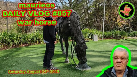 maurieos DAILY VLOG #857 war horse