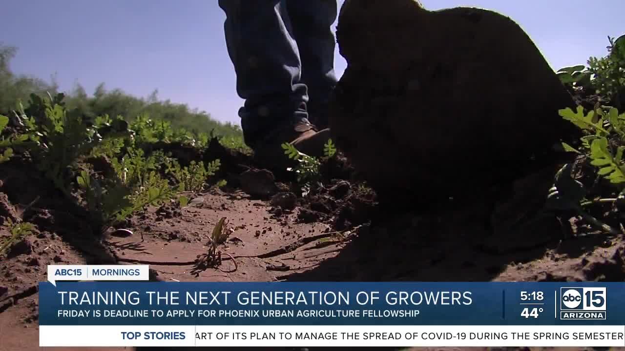 Training the next generation of growers