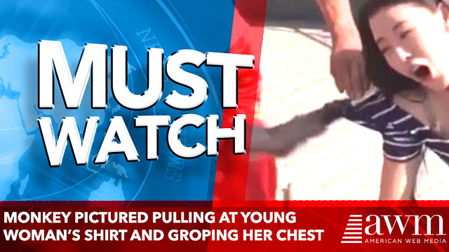 Monkey pictured pulling at young woman’s shirt and groping her chest