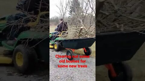 My Son helping drive the tractor while clearing bushes