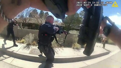 Body and drone video shows gunman killed by police after randomly shooting three people
