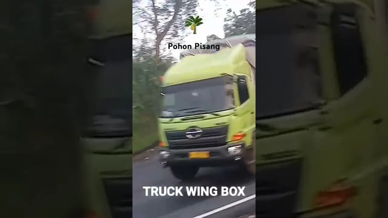 Truck Wings Box #subscribe