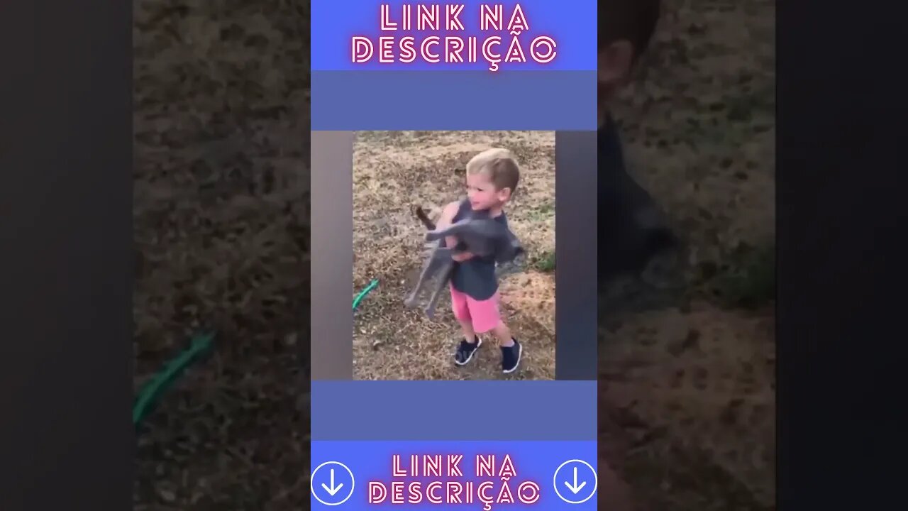 Bichinhos Doidos #SHORTS