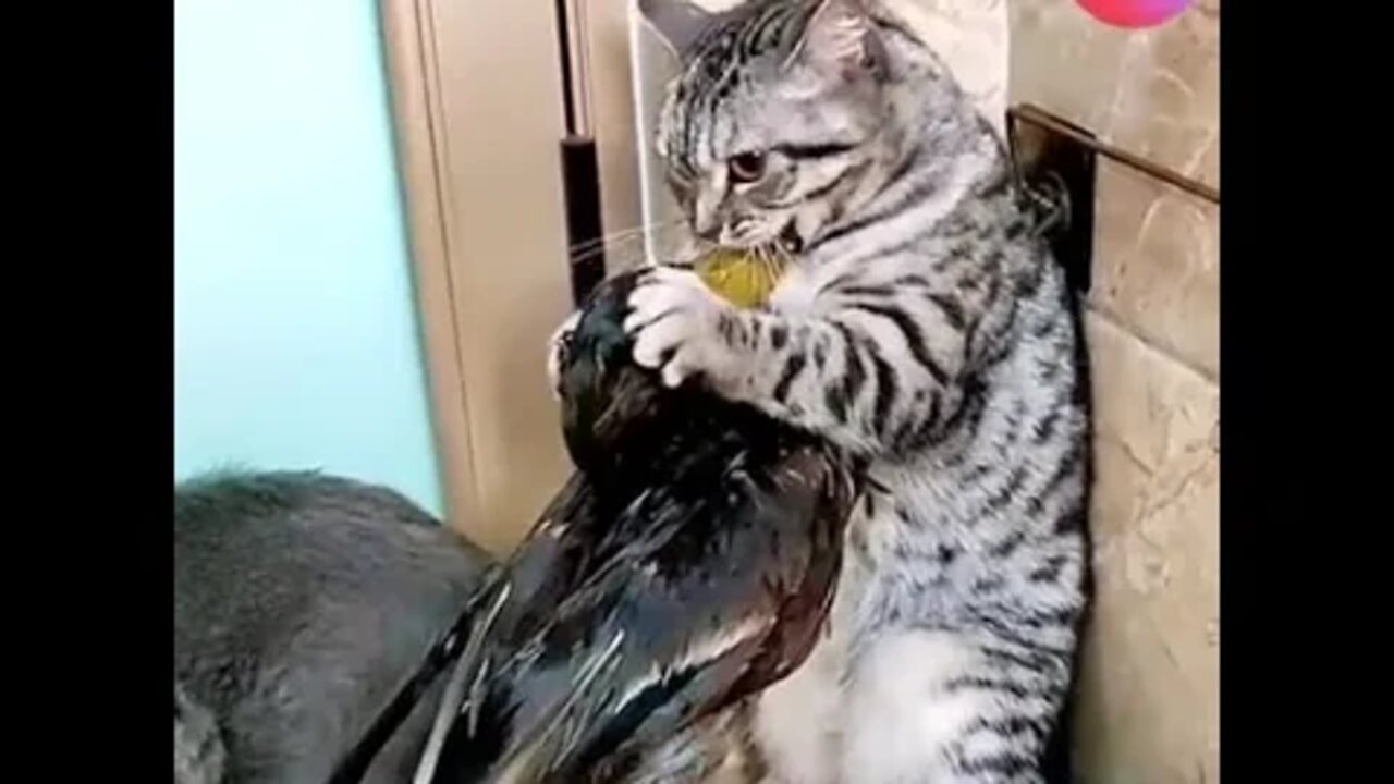 ۲۷ اوت ۲۰۲۲